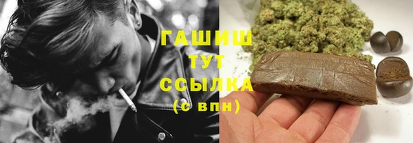 стафф Надым