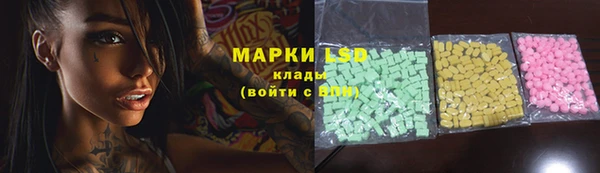 стафф Надым