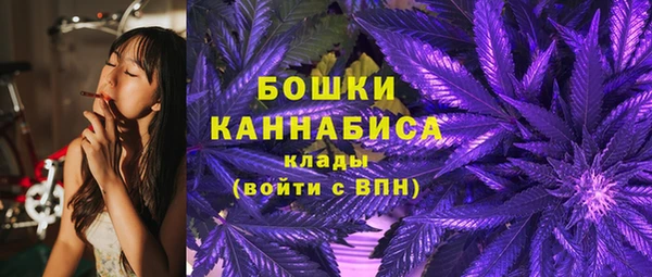 стафф Надым